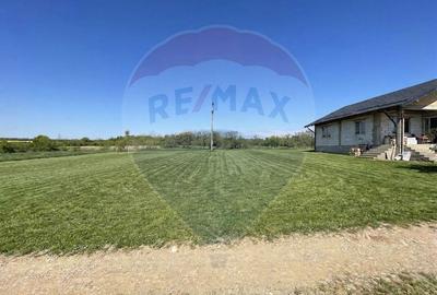 Teren intravilan construibil – 450 mp | Str. Crangului, Paulesti - 1