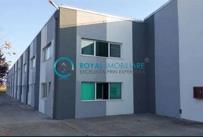 Royal Imobiliare - Inchiriere spatiu industrial Filipestii de Targ - 2
