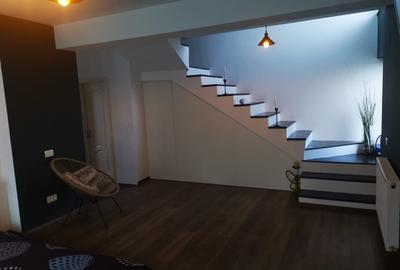 Vanzare/inchiriere duplex Trivale, mobilat, teren 300mp - 7