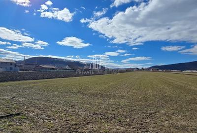 Teren 6607 Mp, Albesti, judet Mures - 1