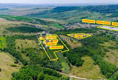 Teren intravilan 10.000 mp în Rediu Aldei (Aroneanu) - 2