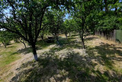Teren intravilan 4,516mp Doina - 19