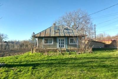 Casa 2 camere, beci, anexe, 1900 mp teren, Draguseni, asfalt, apa, canalizare - 2
