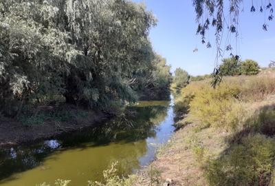 OCAZIE:Teren intravilan Tulcea-19euro/m.p. - 7