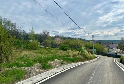 Teren intravilan 1000mp Valea Lupului la 1,2km de E85 apa canalizare PE TEREN! - 1