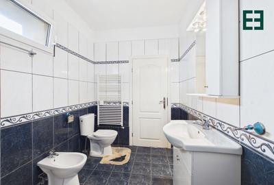 Proprietate industrială + Teren 8.632 - Voiteg - Județul Timiș - 13