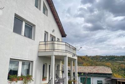 Casa 216mp cu vie si livada, 2500 mp teren – Horodistea, comuna Cotnari, Iasi - 3