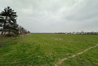 Teren 157.000mp Mogosesti | Giurgiu - 1