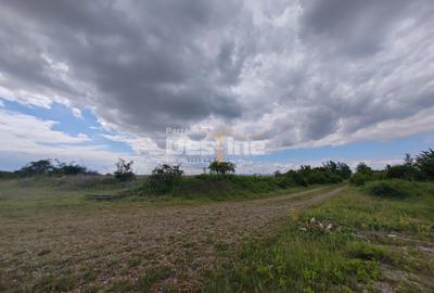 Teren extravilan, 114000 mp, Parc industrial West Park - 17
