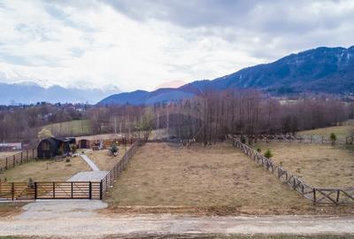 Teren intravilan 850mp Zarnești-Bran, natura-relaxare - 8