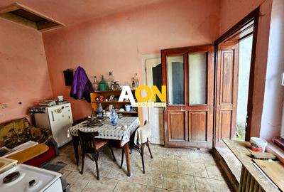 Casa veche, 5 camere, 287 mp teren, zona Prefectura. Necesita renovare - 14