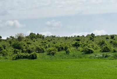 Teren Extravilan de Vanzare, zona Episcopia, Oradea, judetul Bihor - 6