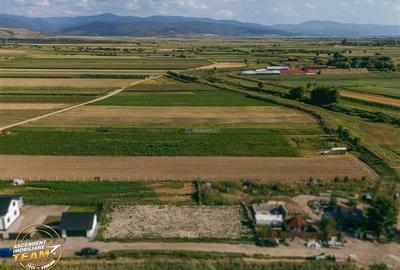 Teren intravilan, aliniament apreciabil, 741mp, Targu Secuiesc, Covasna - 4