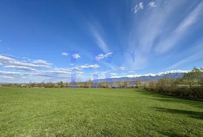 Teren | Sat Bradu, Jud. Sibiu | Ideal Cabane A-Frame & Parcelare - 3
