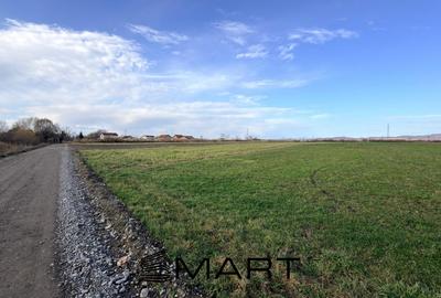 Teren Extravilan 15.000 mp Prejmer - 3