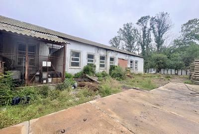 Spațiu industrial, 450 mp în Valu lui Traian