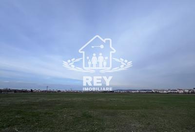 Teren 4900 mp extravilan de vânzare zona Calea Șurii Mici - 2
