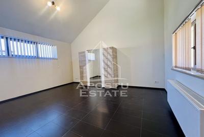 Casa cu 5 camere,2 bai, , ideala pentru birouri , in zona Cetatii - 10