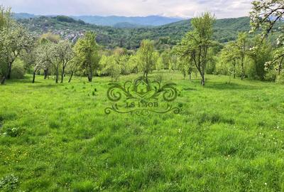 De vanzare casa D+P cu 4 camere si teren - 3
