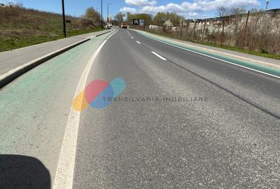 Teren 4550 mp, front la DJ , zona Valea Chintaului - 5