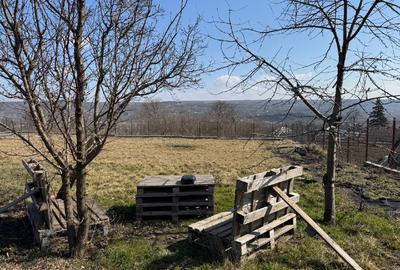 Teren 1797mp Dobrovăț-Ruși | Lângă Pădure | Gard Aluminiu & Fântână - 1