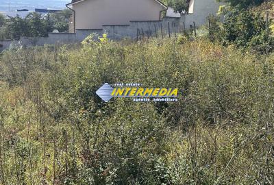 Teren intravilan I de vanzare I in Cetate I zona superba I 500 mp I - 2