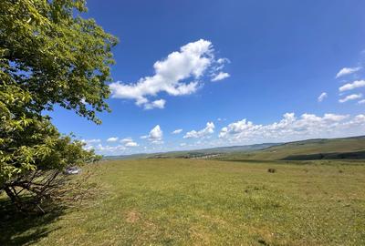 Teren extravilan de 54500 mp, în Lovnic