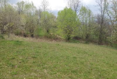 OPORTUNITATE UNICĂ ÎN TOMȘANI (LÂNGĂ HOREZU) – ANSAMBLU TERENURI 9.364 MP - 9
