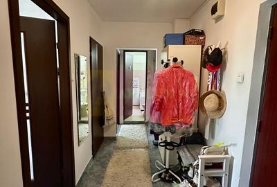 2 camere de vanzare Sebastian - Novaci - 8