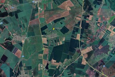 Teren in suprafata 2.500 mp Cornesti - 2