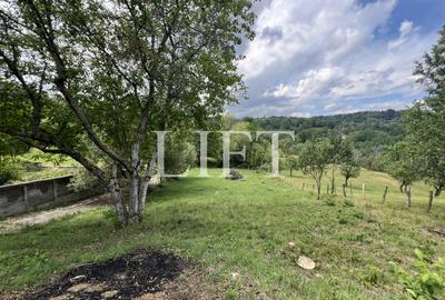 Ofertă unică - Casa de vacanta, teren 2300mp, Bran - Sohodol - 5