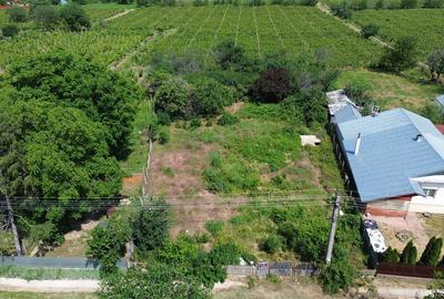 Teren intravilan de vanzarea in Valea Cotesti cu utilitati 1.790 mp - 6