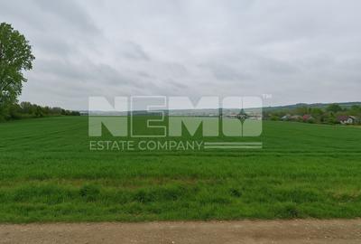 Teren intravilan 3.931 mp | Iacobești | Investiție excelentă - 2