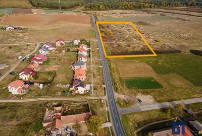 Teren ideal ca investiție, 19000 mp, în Pișchia pe DJ691, comision 0 - 6