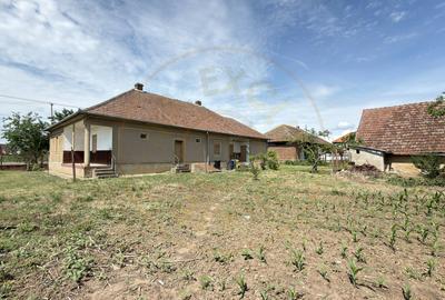 Casă 4 camere, Teren 1955 mp Str. Vezendiului Nr. 366 - Loc. Petrești, Satu Mare - 12
