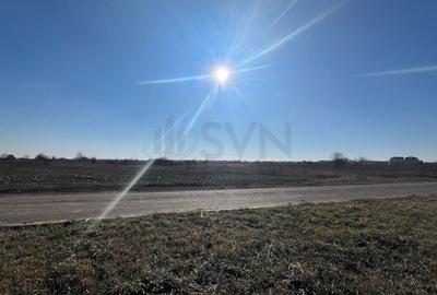 REL4000892 Corbeana - Ostratu 15200 mp langa padure - 5