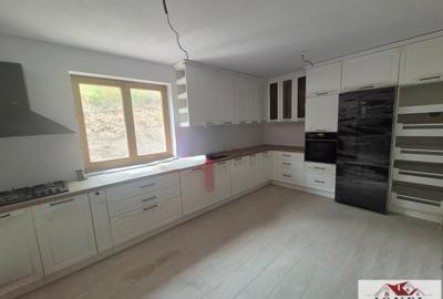 Casa noua de vanzare in Poiana Ampoiului - Metes - 7