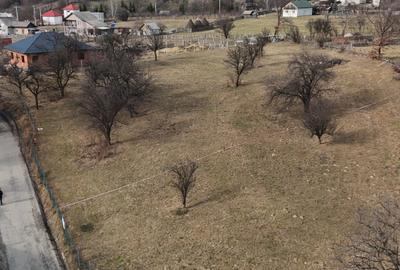 Teren intravilan, suprafata de 1223 m2, str Secu, Prundu B - 3