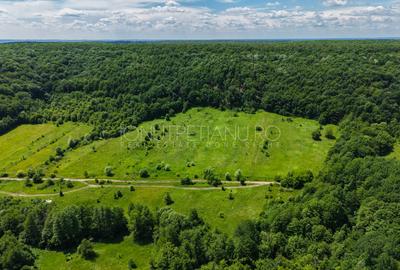Teren Pasune + Arabil - Valea Mare Podgoria Arges - 18