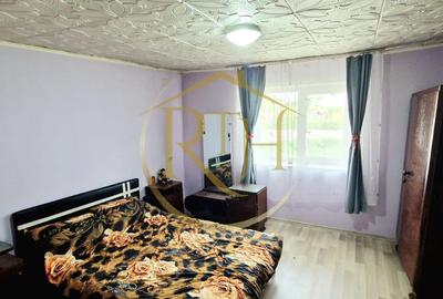 Vand casa recent renovata cu 900 mp curte si gradina in Carpinis - 3