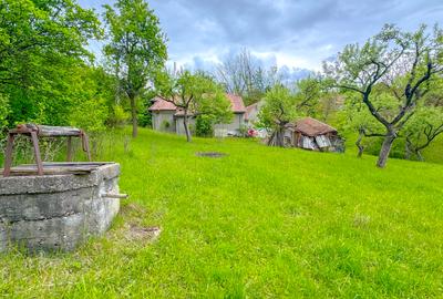 Teren 1500mp, intravilan cu utilitati, in proximitatea complexului Vila Bran - 2