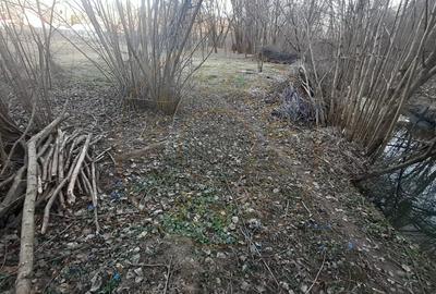 Teren intravilan pentru Casa de Vacanta - Mosoaia -Basangesti - 8