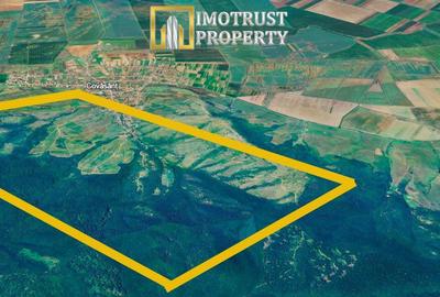 Teren agricol de vânzare 17,51 ha Covăsânț – 7.000 €/ha - 3