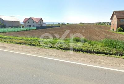 Teren intravilan 4514 mp de vanzare, Luizi Calugara - 4