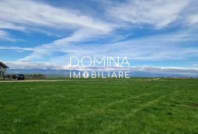 Vânzare teren extravilan 25.254 mp, situat în localitatea componentă Preajba - 6
