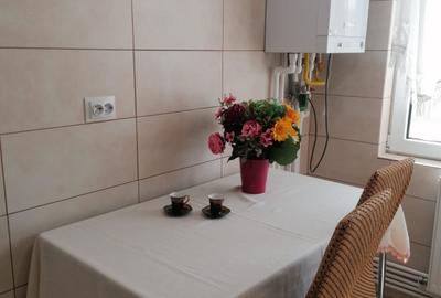 Apartament cu 2 camere, DECOMANDAT, zona Alexandru Cel Bun - 2