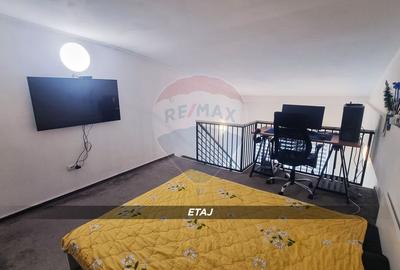 Apartament 3 camere, doua niveluri, compartimentare unica-Victor Babes - 12