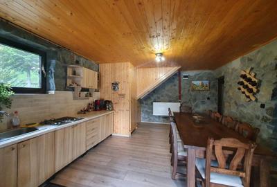 Cabana cu accesc la lac, 1400mp teren Colibita - 19