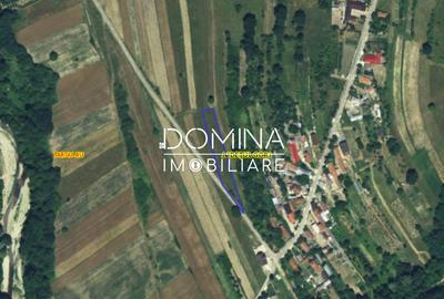 Vanzare teren intravilan - 1654 mp - strada Amurgului - Ursati - 8