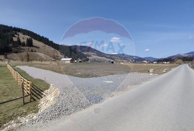 Teren 7,834mp Dorna-Arini / Strada Gheorghițeni - 10
